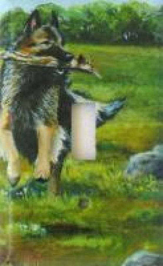 Belgian Terv 2A plastic SLSP-P